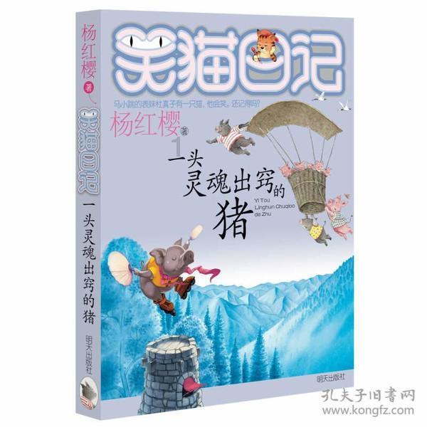 狗狗物品记忆卡