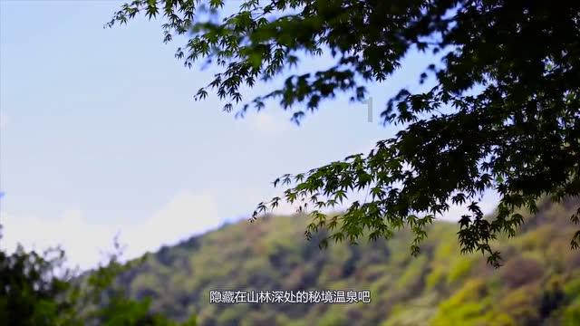 悟空降妖