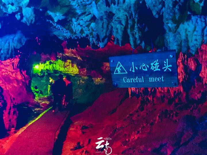阴暗森林