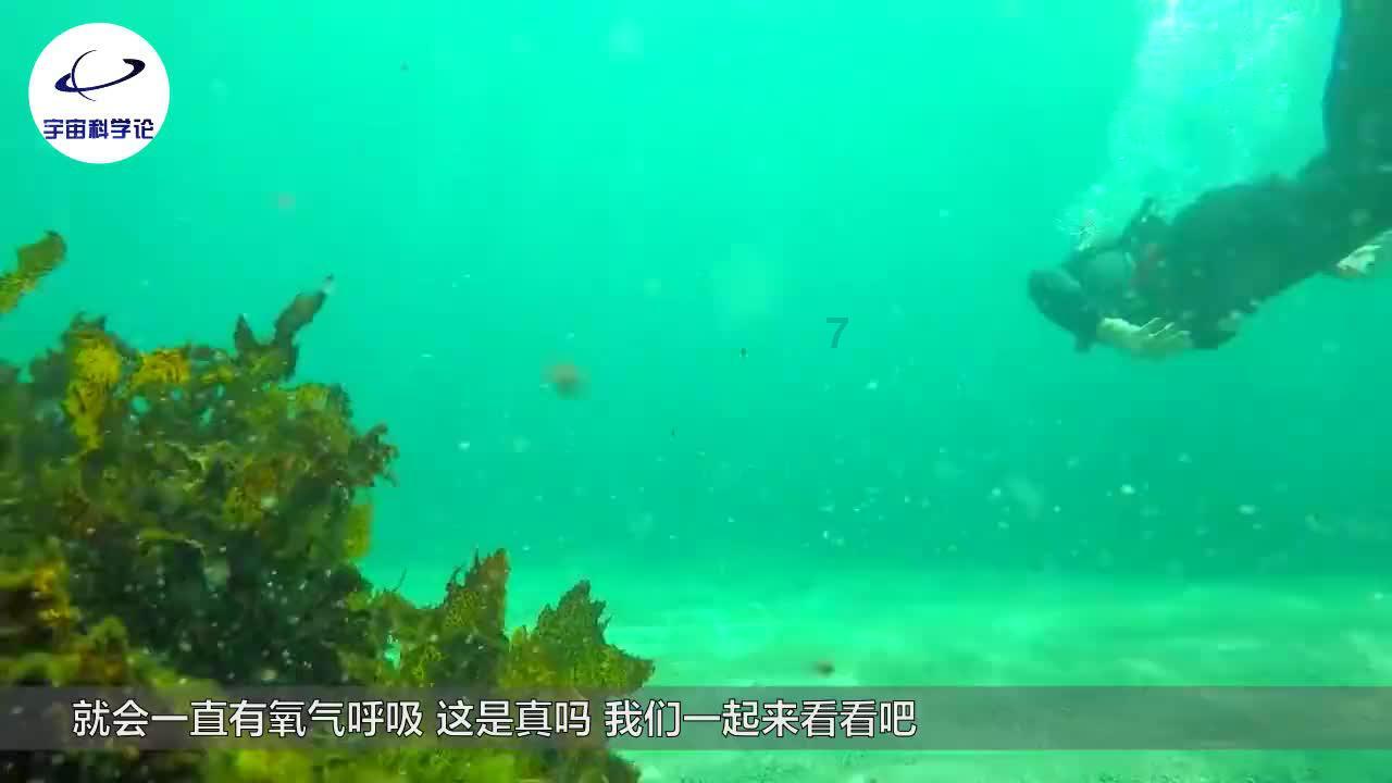 森迪穿越魔法学院