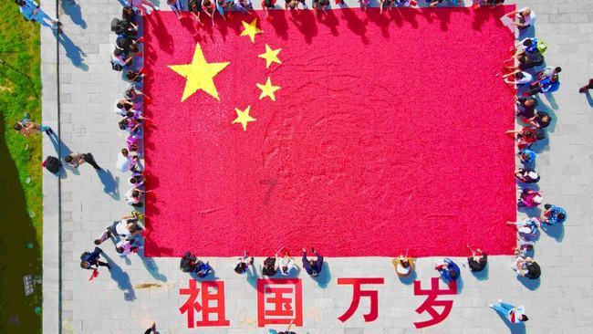 拯救蝙蝠家族