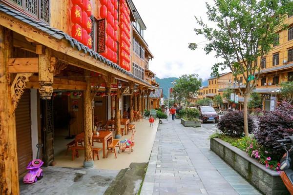 “东北大花”主题车上线!坐青岛公交感受“尔滨”风情