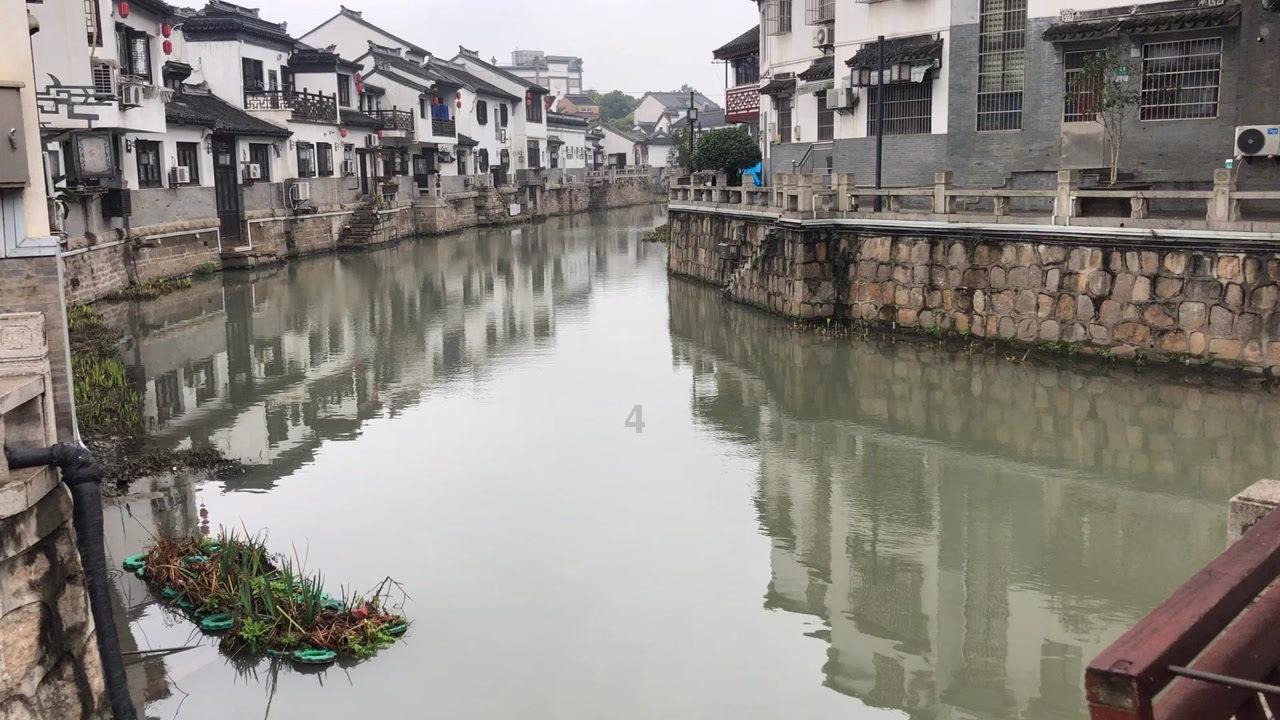 蓝狐视频